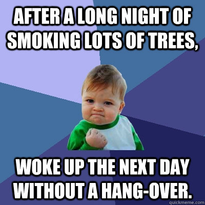 After a long night of smoking lots of trees, woke up the next day without a hang-over.  Success Kid