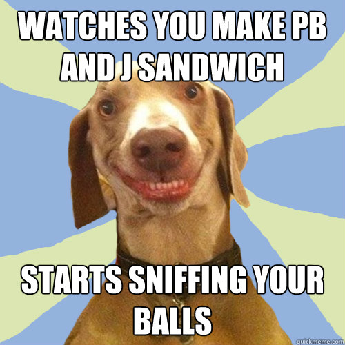 Watches you make PB and J sandwich starts sniffing your balls  Disgusting Doggy