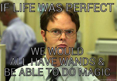 IF LIFE WAS PERFECT  WE WOULD ALL HAVE WANDS & BE ABLE TO DO MAGIC Schrute