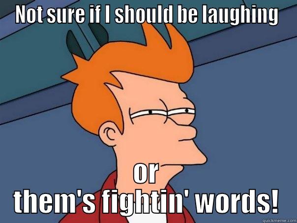 NOT SURE IF I SHOULD BE LAUGHING OR THEM'S FIGHTIN' WORDS! Futurama Fry