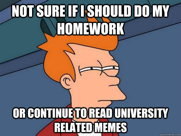 Not sure if I should do my homework Or continue to read university related memes  Futurama Fry