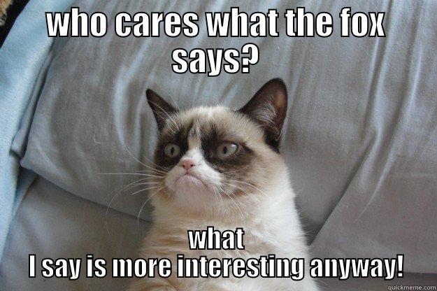 WHO CARES WHAT THE FOX SAYS? WHAT I SAY IS MORE INTERESTING ANYWAY! Grumpy Cat