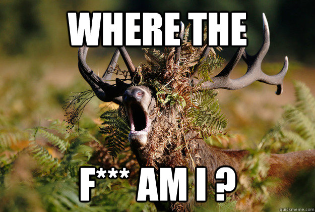 Where The F*** Am I ?  wher the F