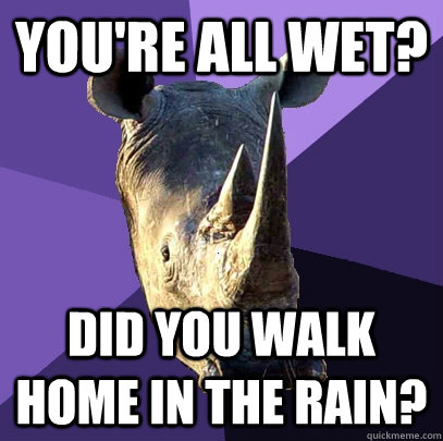 You're all wet? Did you walk home in the rain?  Sexually Oblivious Rhino