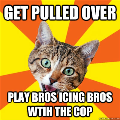 Get pulled over  Play bros icing bros wtih the cop  Bad Advice Cat