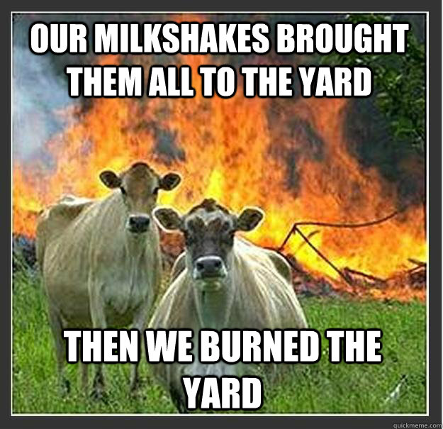 our Milkshakes brought them all to the yard then we burned the yard  Evil cows