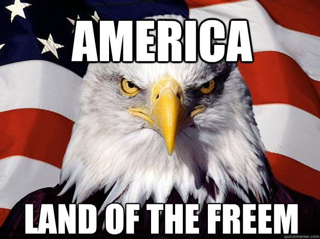 America land of the freem  Patriotic Eagle
