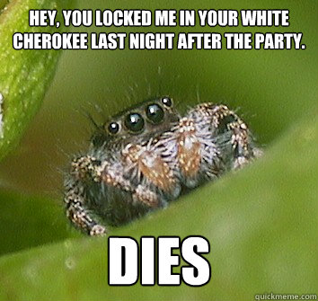 Hey, you locked me in your white cherokee last night after the party. DIES  Misunderstood Spider