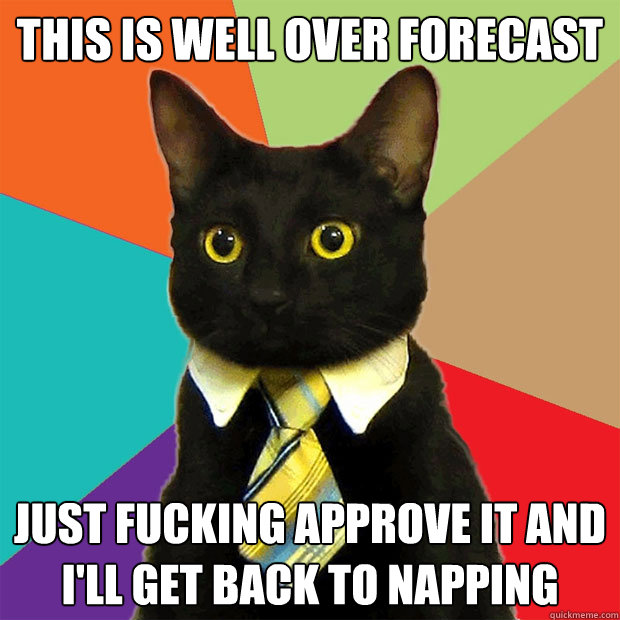 This is well over forecast just fucking approve it and i'll get back to napping  Business Cat