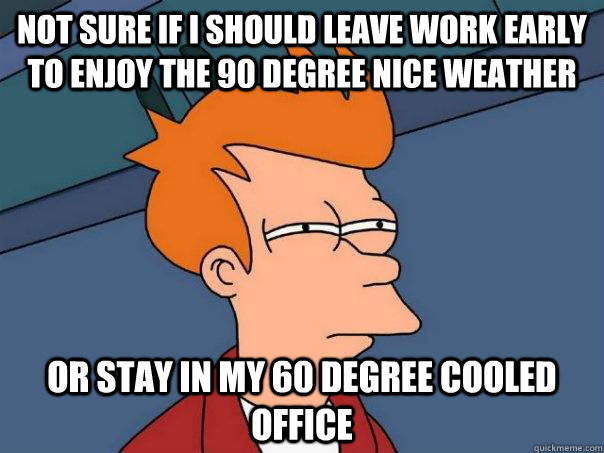 Not sure if i should leave work early to enjoy the 90 degree nice weather or stay in my 60 degree cooled office  Futurama Fry