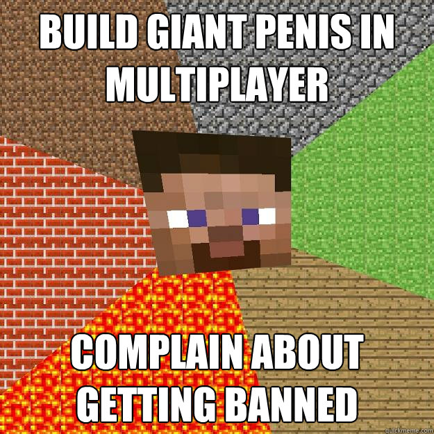 Build giant penis in multiplayer Complain about getting banned  Minecraft