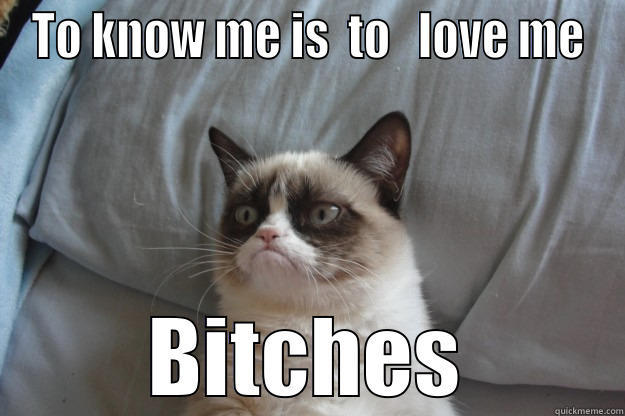 TO KNOW ME IS  TO   LOVE ME BITCHES Grumpy Cat