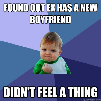 Found out ex has a new boyfriend didn't feel a thing  Success Kid