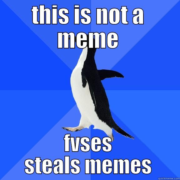 THIS IS NOT A MEME FVSES STEALS MEMES Socially Awkward Penguin