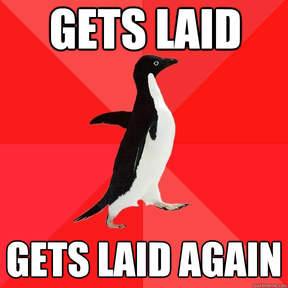 Gets laid Gets laid again  Socially Awesome Penguin