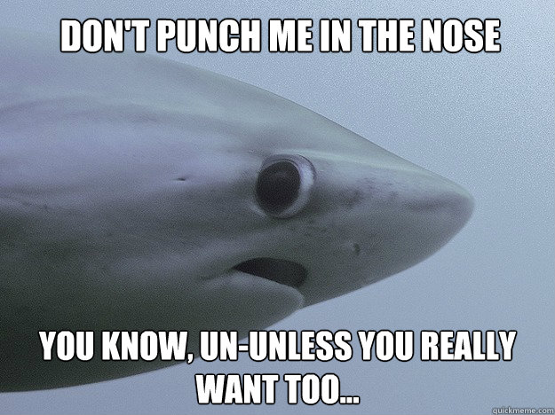 Don't punch me in the nose  You know, un-unless you really want too...   Shy Shark