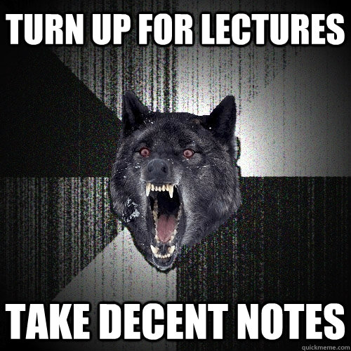 Turn up for lectures take decent notes  Insanity Wolf