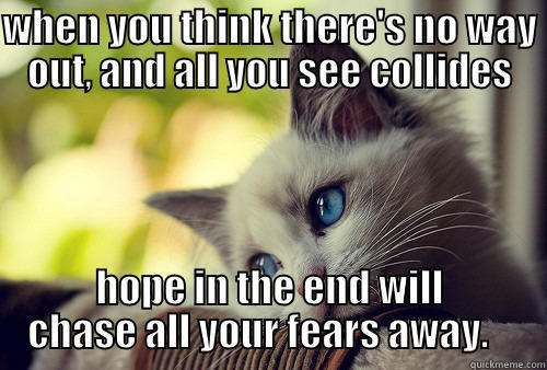 WHEN YOU THINK THERE'S NO WAY OUT, AND ALL YOU SEE COLLIDES HOPE IN THE END WILL CHASE ALL YOUR FEARS AWAY.    First World Problems Cat