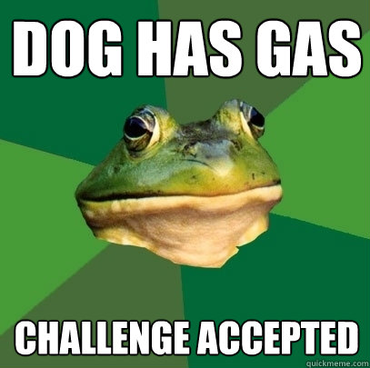 Dog has gas Challenge accepted  Foul Bachelor Frog