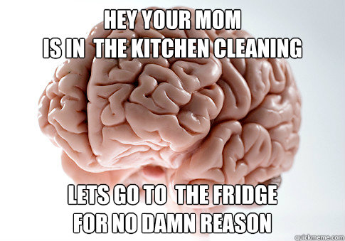 hey your mom 
is in  the kitchen cleaning lets go to  the fridge 
FOR NO DAMN REASON  Scumbag Brain