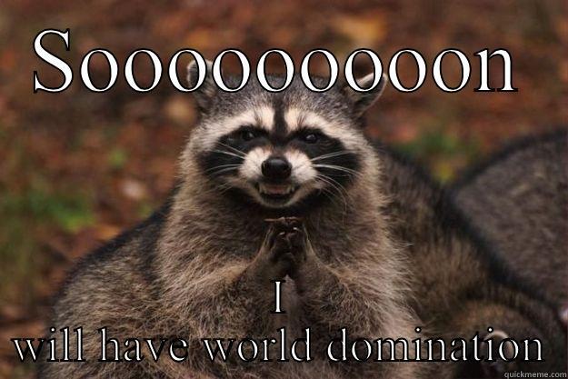 SOOOOOOOOON I WILL HAVE WORLD DOMINATION Evil Plotting Raccoon