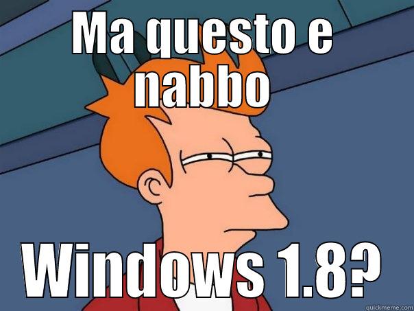 MA QUESTO E NABBO WINDOWS 1.8? Futurama Fry