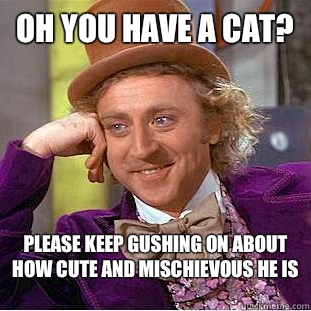 Oh you have a cat? Please keep gushing on about how cute and mischievous he is  Condescending Wonka