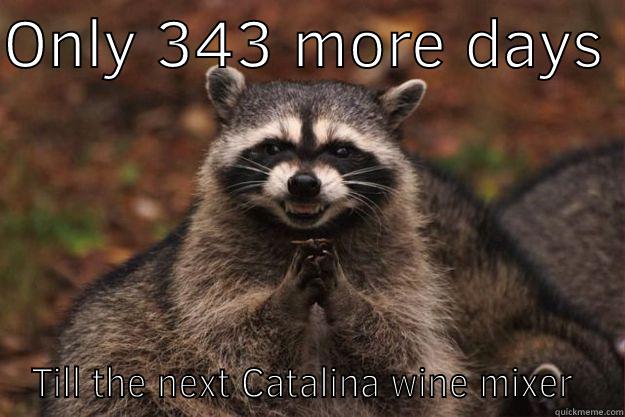 ONLY 343 MORE DAYS  TILL THE NEXT CATALINA WINE MIXER  Evil Plotting Raccoon