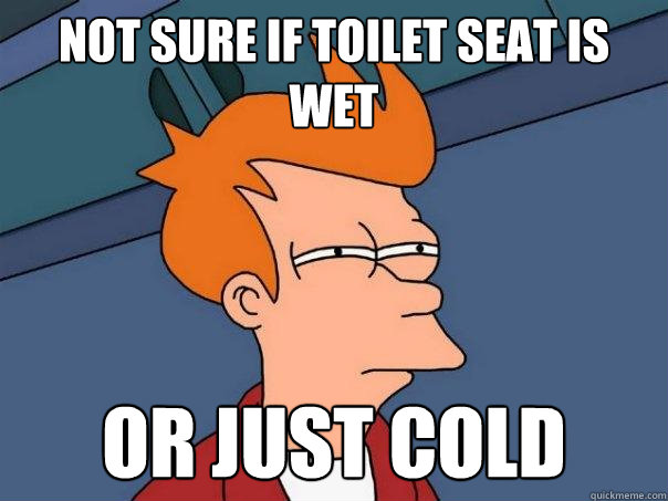 Not sure if toilet seat is wet or just cold  Futurama Fry