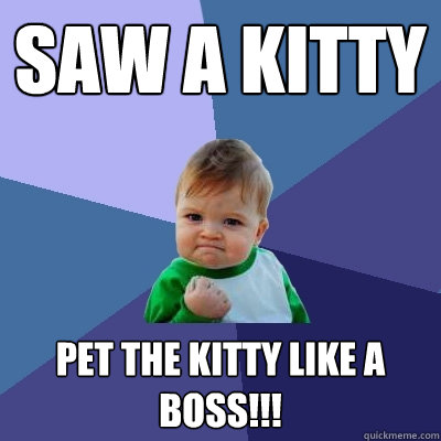 SAW A KITTY PET THE KITTY LIKE A BOSS!!! - SAW A KITTY PET THE KITTY LIKE A BOSS!!!  Success Kid