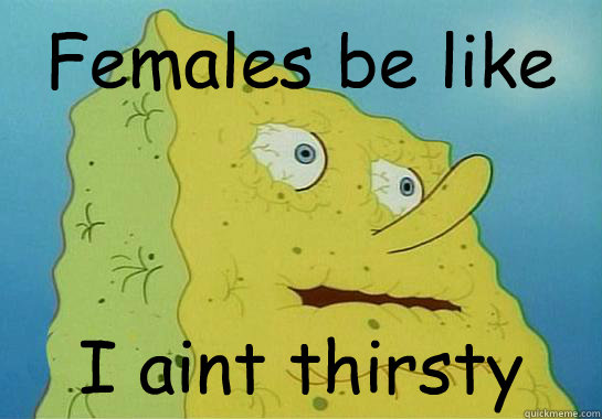 Females be like I aint thirsty  Dryed up spongebob