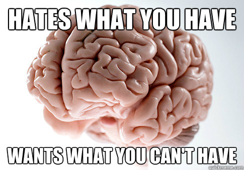 Hates what you have Wants what you can't have  Scumbag Brain