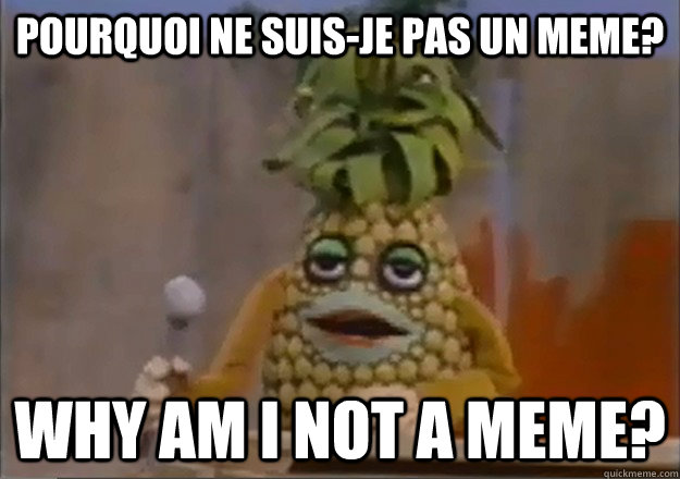 Pourquoi ne suis-je pas un meme? Why am I not a meme?  Telefrancais Ananas