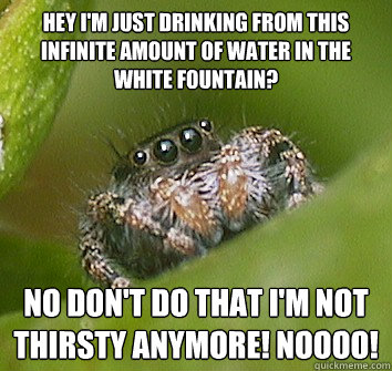 Hey I'm just drinking from this infinite amount of water in the white fountain? NO DON'T DO THAT I'M NOT THIRSTY ANYMORE! NOOOO!  Misunderstood Spider