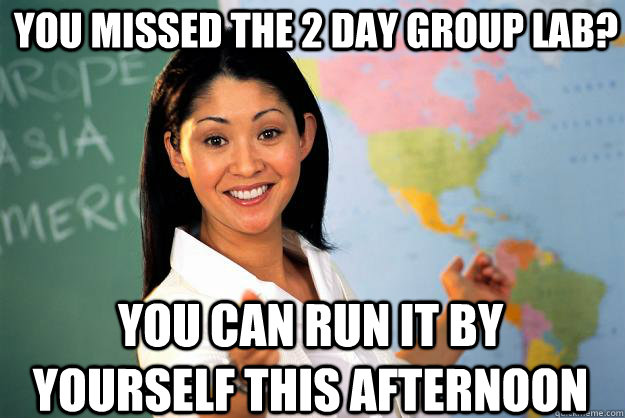 You missed the 2 day group lab? You can run it by yourself this afternoon  Unhelpful High School Teacher