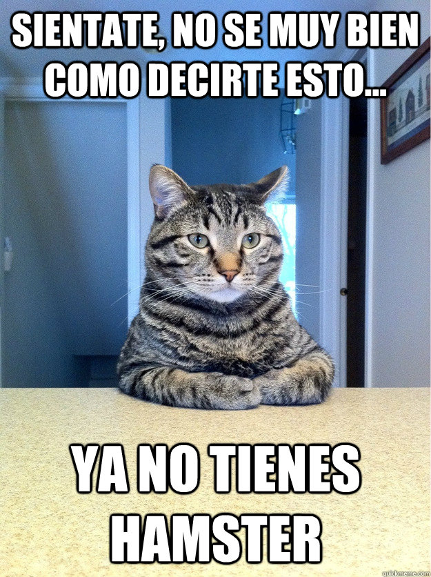 sientate, no se muy bien como decirte esto... ya no tienes hamster  Chris Hansen Cat