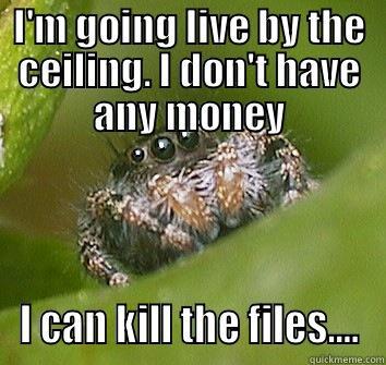 I'M GOING LIVE BY THE CEILING. I DON'T HAVE ANY MONEY I CAN KILL THE FILES.... Misunderstood Spider