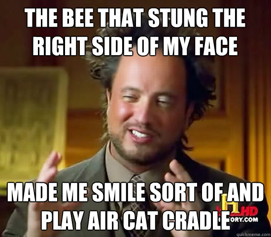 the bee that stung the right side of my face made me smile sort of and play air cat cradle - the bee that stung the right side of my face made me smile sort of and play air cat cradle  Ancient Aliens