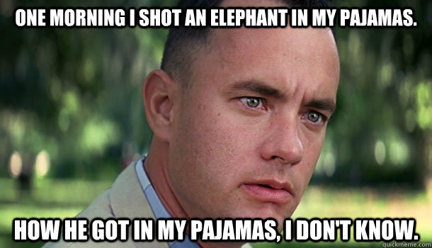 One morning I shot an elephant in my pajamas.  How he got in my pajamas, I don't know.  Offensive Forrest Gump