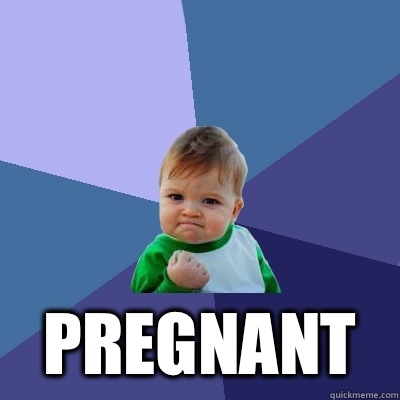  Pregnant   Success Kid