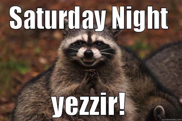 SATURDAY NIGHT YEZZIR! Evil Plotting Raccoon