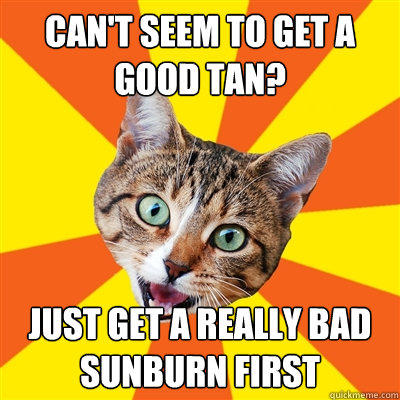 can't seem to get a good tan? just get a really bad sunburn first  Bad Advice Cat