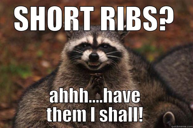 SHORT RIBS? AHHH....HAVE THEM I SHALL! Evil Plotting Raccoon