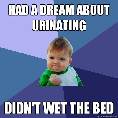 Had a dream about urinating didn't wet the bed  Success Kid