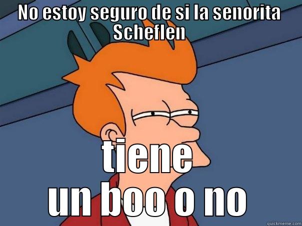 The Schef meme - NO ESTOY SEGURO DE SI LA SENORITA SCHEFLEN TIENE UN BOO O NO Futurama Fry