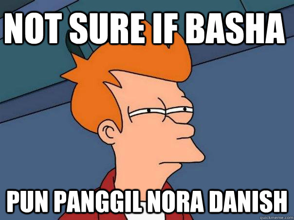 not sure if basha pun panggil nora danish  Futurama Fry