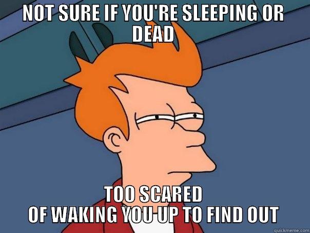 NOT SURE IF YOU'RE SLEEPING OR DEAD TOO SCARED OF WAKING YOU UP TO FIND OUT Futurama Fry