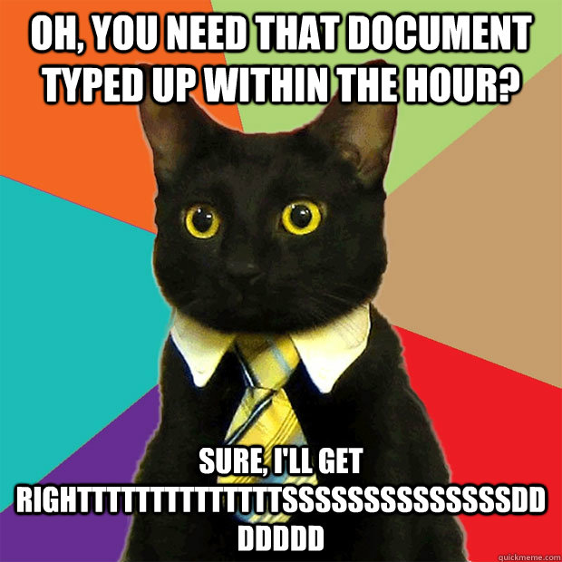 oh, you need that document typed up within the hour? sure, i'll get righttttttttttttttssssssssssssssddddddd  Business Cat