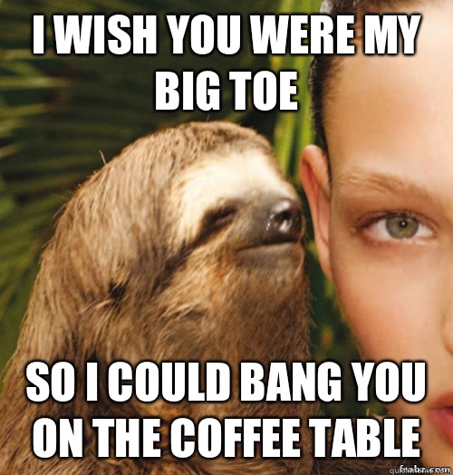 I wish you were my big toe So I could bang you on the coffee table  rape sloth