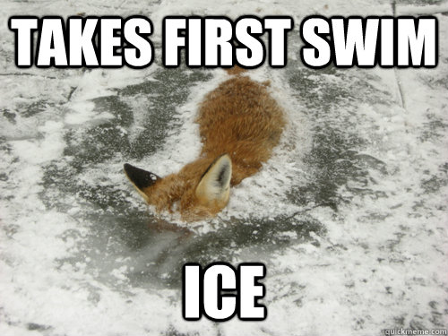 Takes first swim ice - Takes first swim ice  Freshman Fox